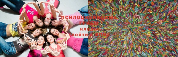 бутик Покачи