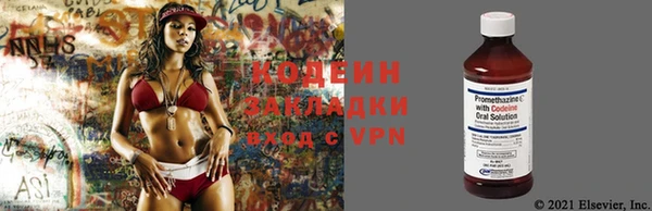 spice Ельня