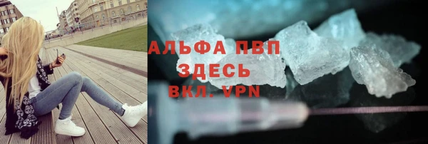 spice Ельня