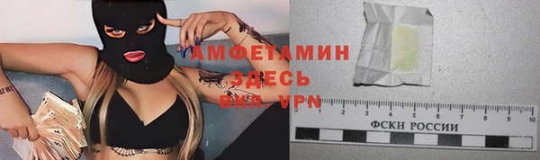 spice Ельня