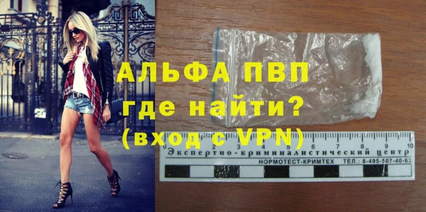 spice Ельня