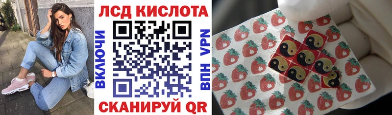 Наркотические марки 1,5мг  наркотики  KRAKEN как зайти  Облучье 